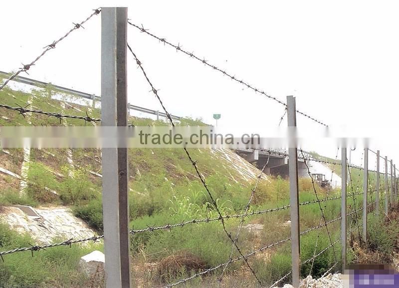 Razor barbed wire/barbed wire/safety razor wire