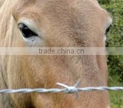 Alibaba China Trade Galvanized Razor Wire for sale/Barbed wire price per roll