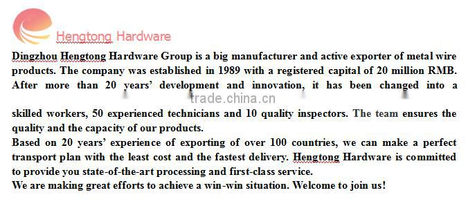 High quality low price Galvanized razor wire/razor barbed wire/Razor blade