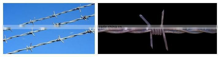 galvanized barbed wire/PVC coated wire/fencing(Factory)