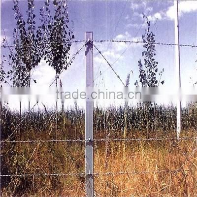 High quality low price Galvanized razor wire/razor barbed wire/Razor blade