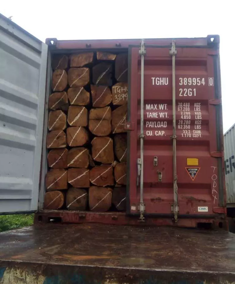 Cheap kosso / Sapelli / Tali / Teak / Pachyloba Wood Logs