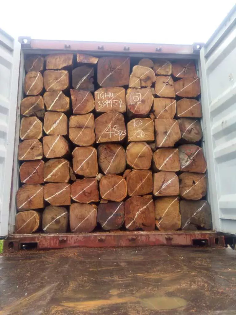 Cheap kosso / Sapelli / Tali / Teak / Pachyloba Wood Logs