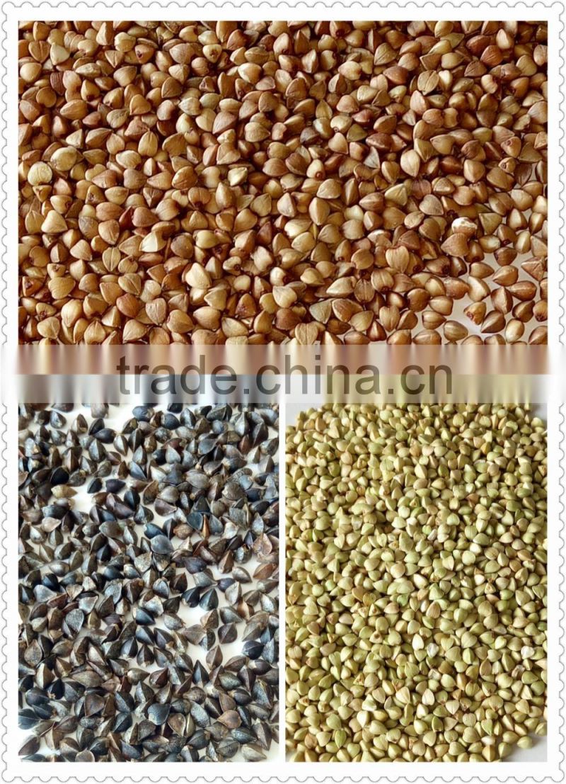 Buckwheat Common Cultivation Type and Brown Color