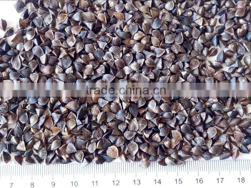 Brown Color and Dried Style Buckwheat