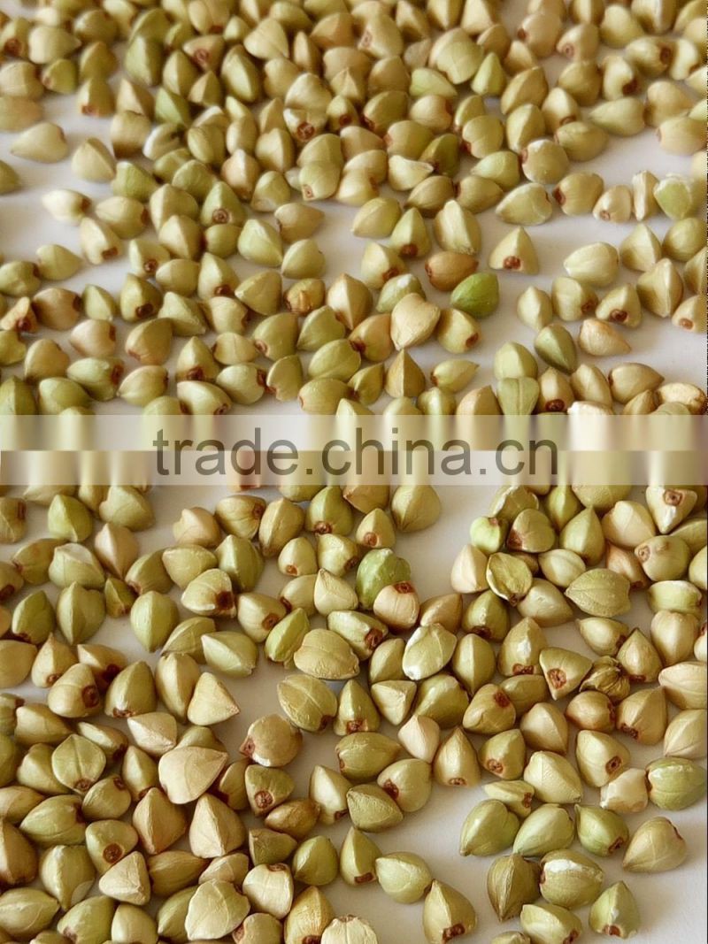 Buckwheat peeled grsins fro sale