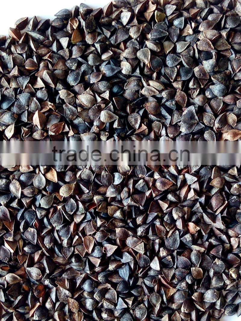Dried Style and Bulk Packaging buckwheat brown colour