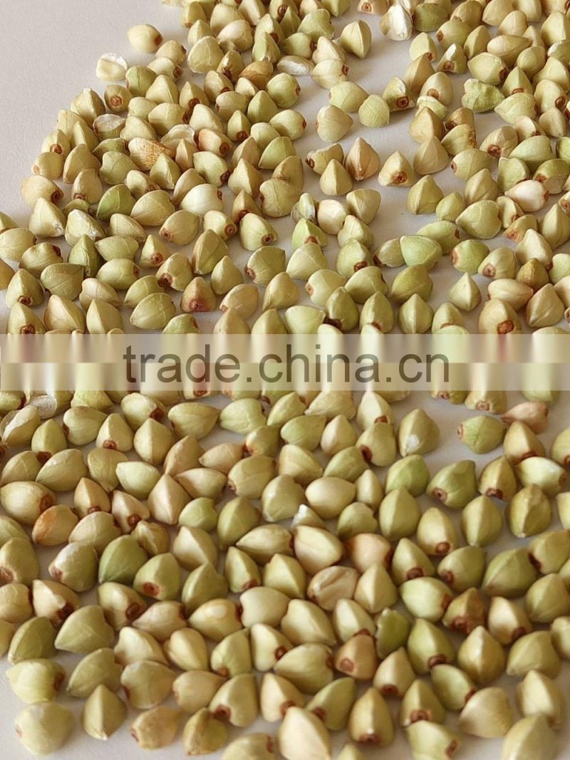 Buckwheat peeled grsins fro sale
