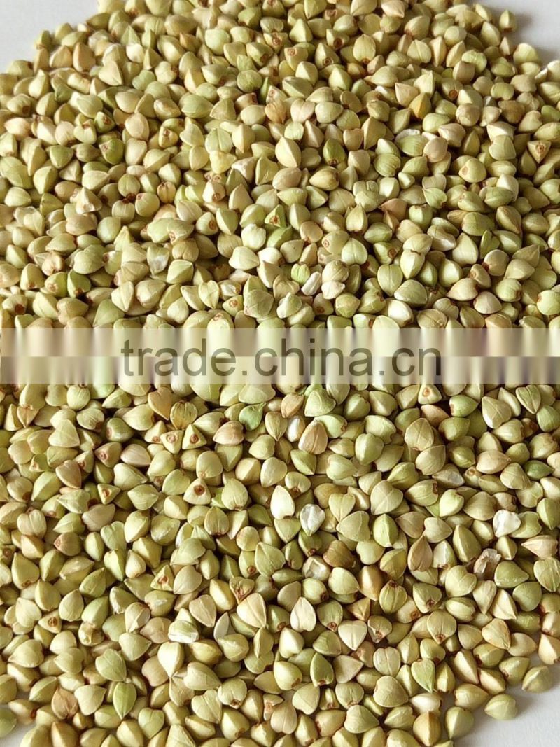 raw Buckwheat grains Inner Mongolia origin