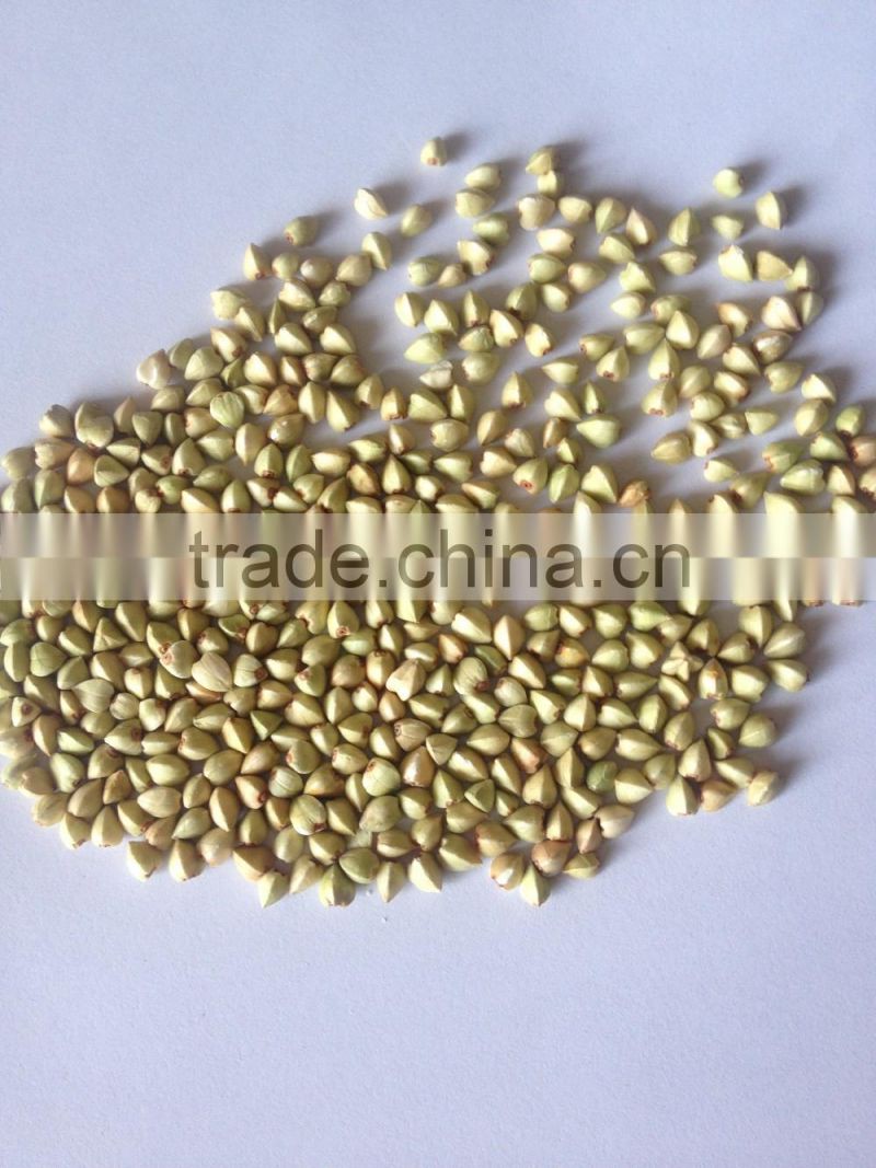 Buckwheat kernels origin Inner Mongolia