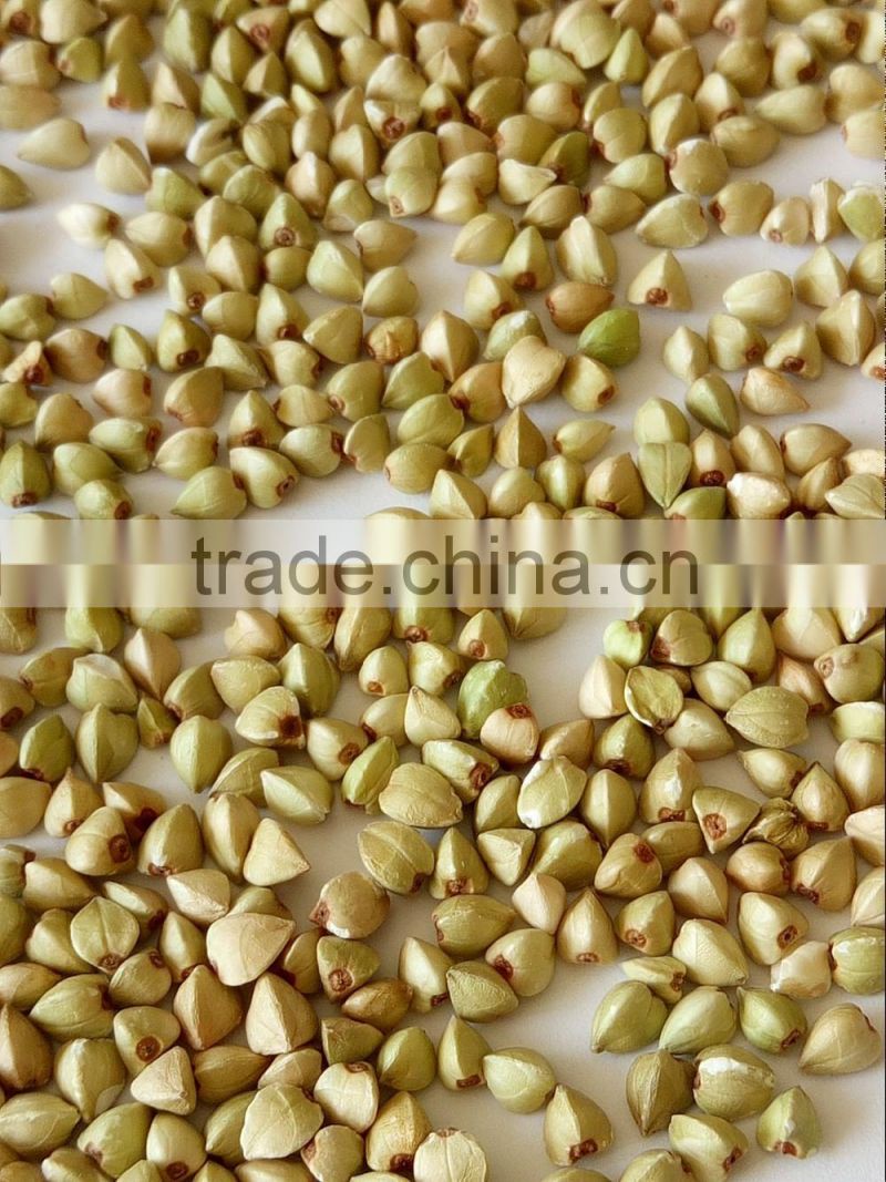 raw Buckwheat grains Inner Mongolia origin
