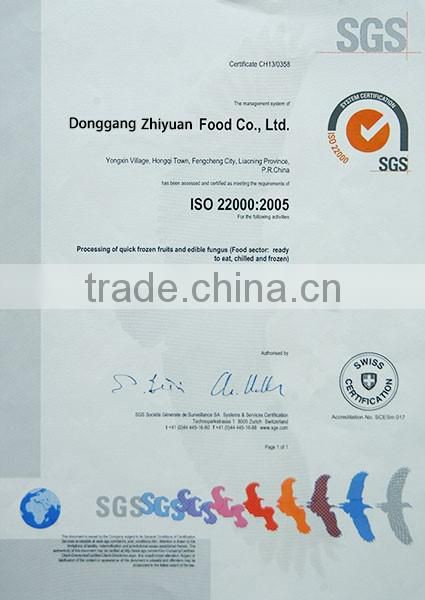 China sweet common bulk wholesale red frozen strawberries