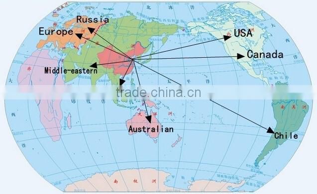 China high quality sweet delicious bulk IQF frozen blueberry prices