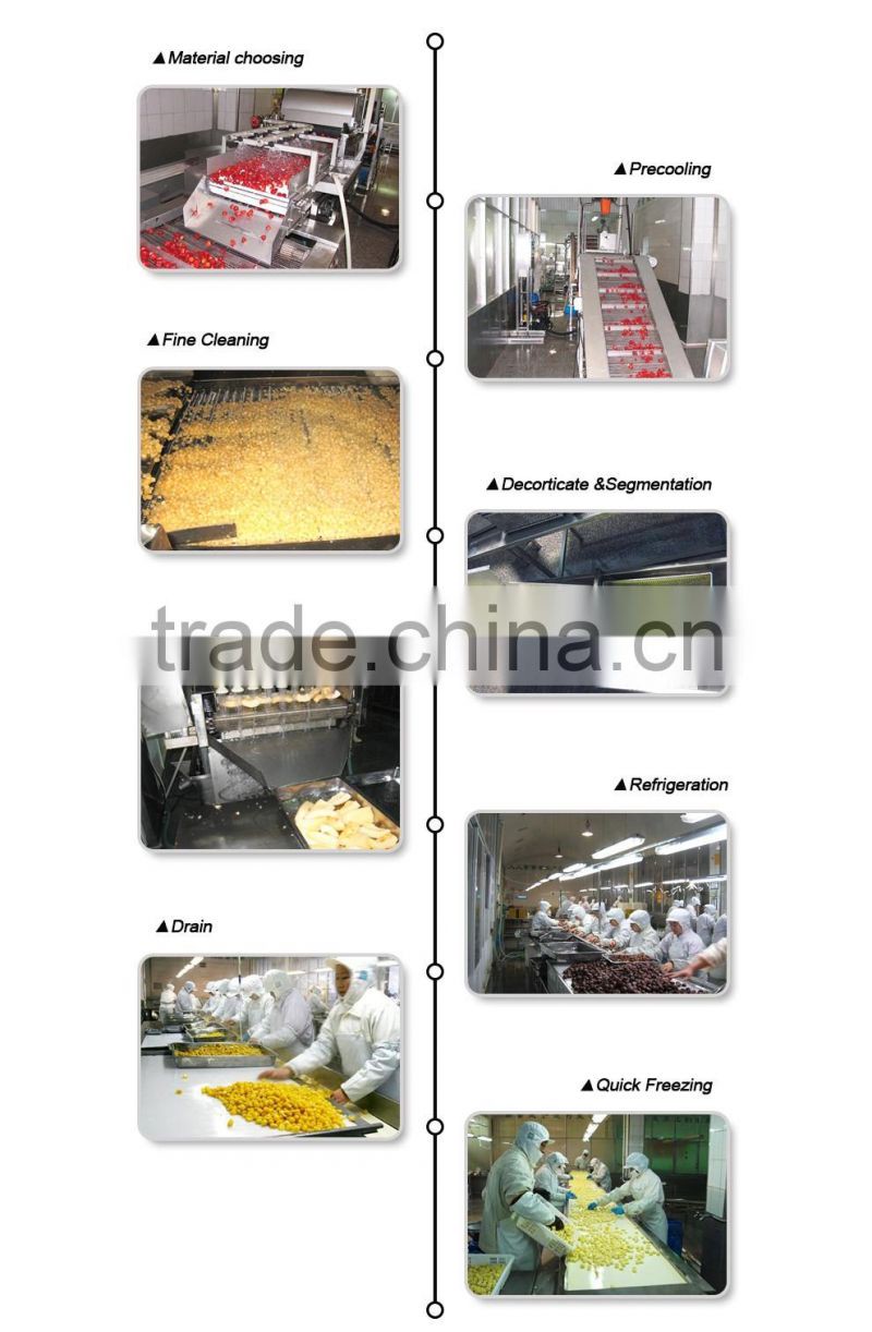 China high quality sweet delicious bulk IQF frozen blueberry prices