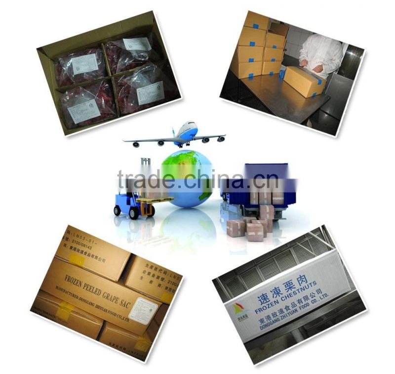 China high quality sweet delicious bulk IQF frozen blueberry prices