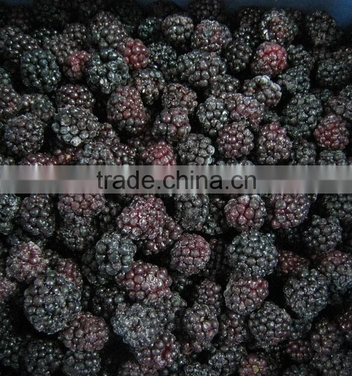 High quality best selling sweet bulk frozen blackberry on sale