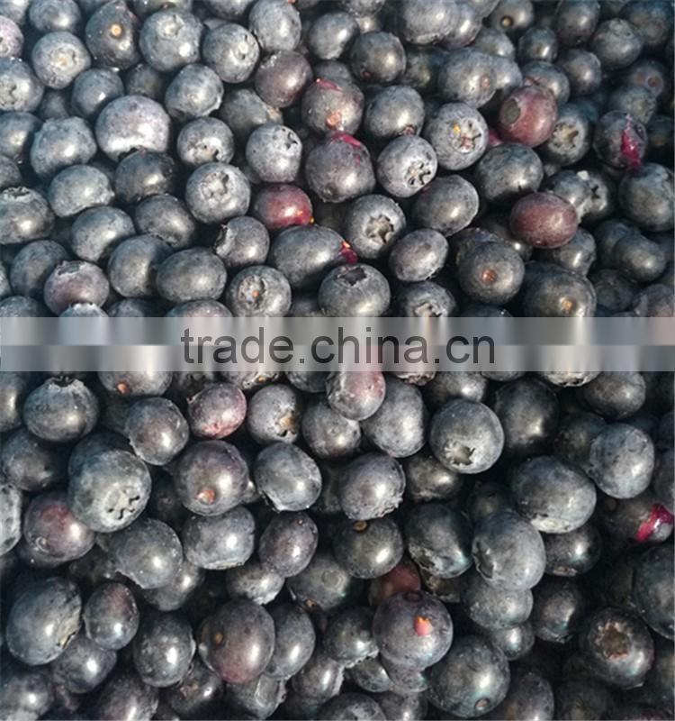 China high quality sweet delicious bulk IQF frozen blueberry prices