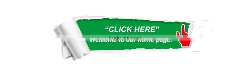 China high quality sweet delicious bulk IQF frozen blueberry prices