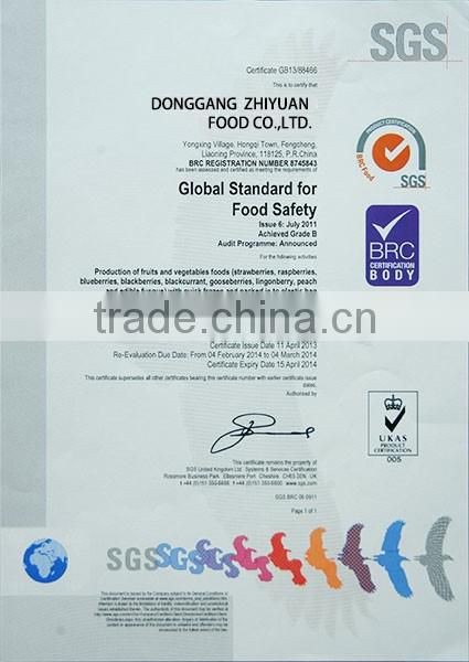 China sweet common bulk wholesale red frozen strawberries