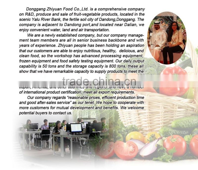 China high quality sweet delicious bulk IQF frozen blueberry prices