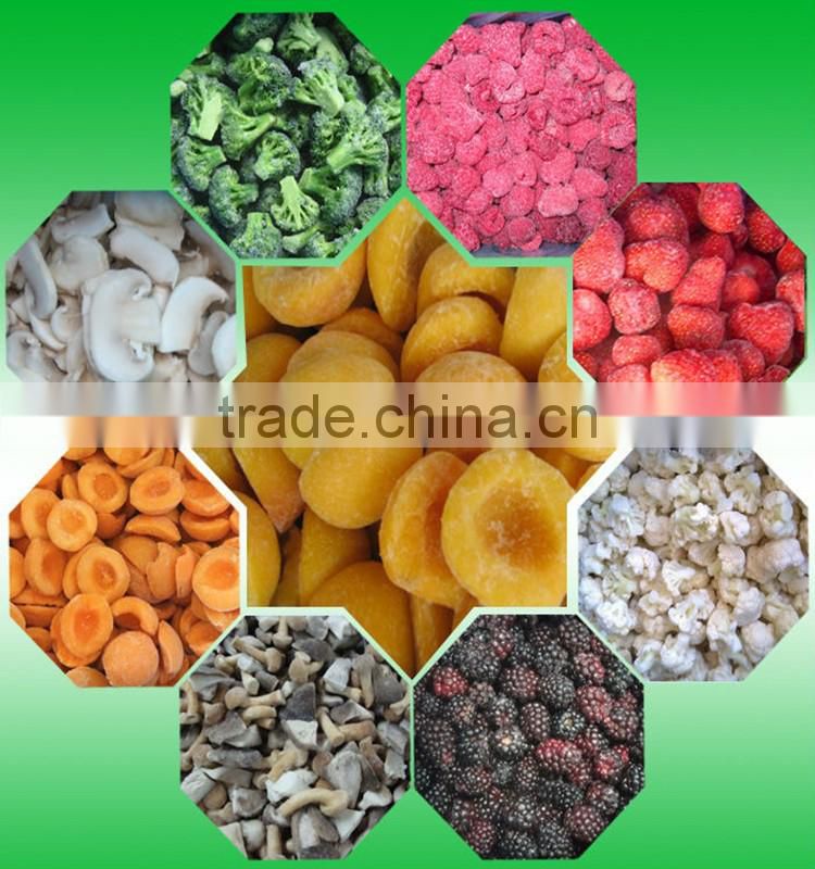 China high quality sweet delicious bulk IQF frozen blueberry prices