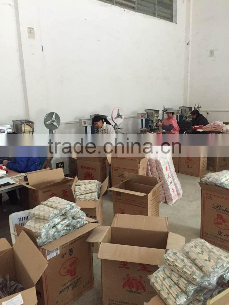 Daisi Bamboo BBQ Skewers of Factory Supply