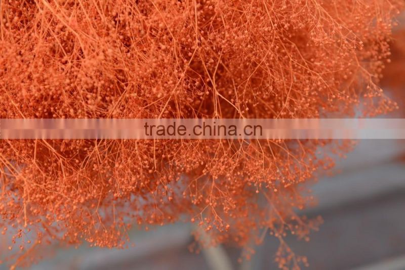 2016 cheap artificia natural dry flower