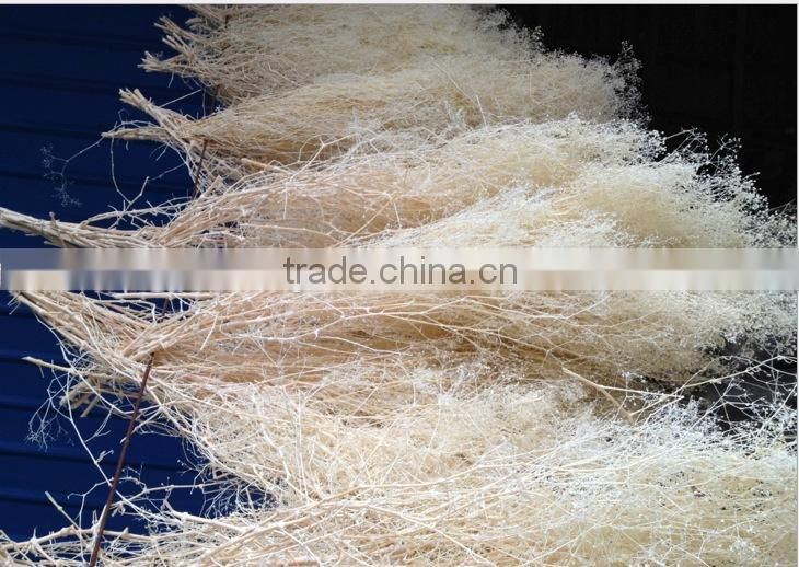 2016 cheap artificia natural dry flower