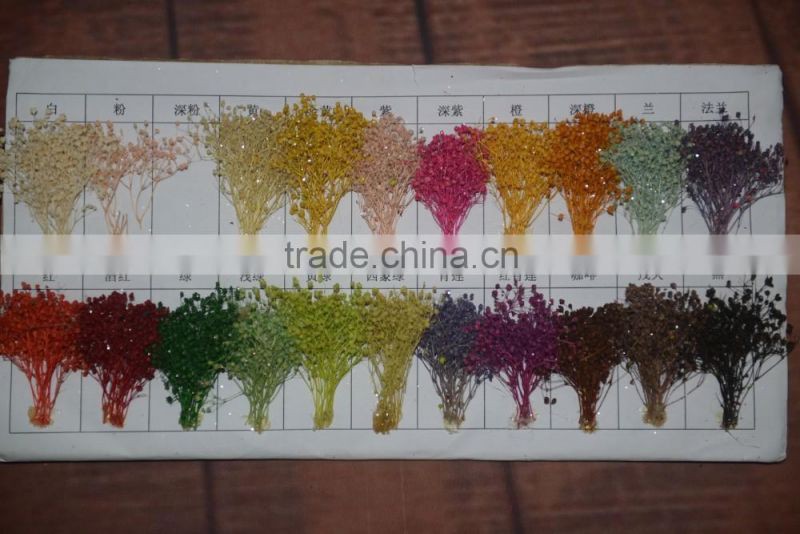 2016 cheap artificia natural dry flower