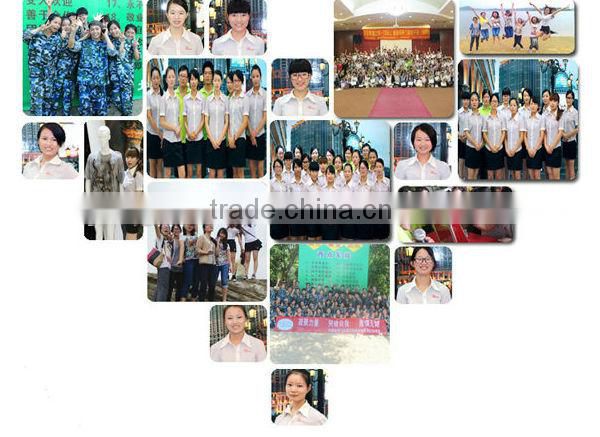 Strong Sport Style Stand Collar Mens full zip Hoodies with Embroidery Badge