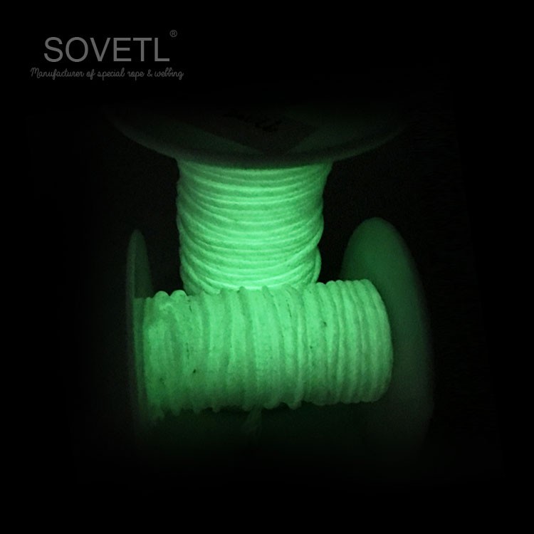 100lb Super Luminous assist line With UHMWPE Core For Fishing Hook