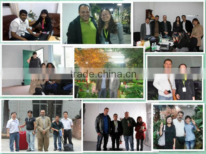 on sale High quality like real looking Natural touching artificial bamboos