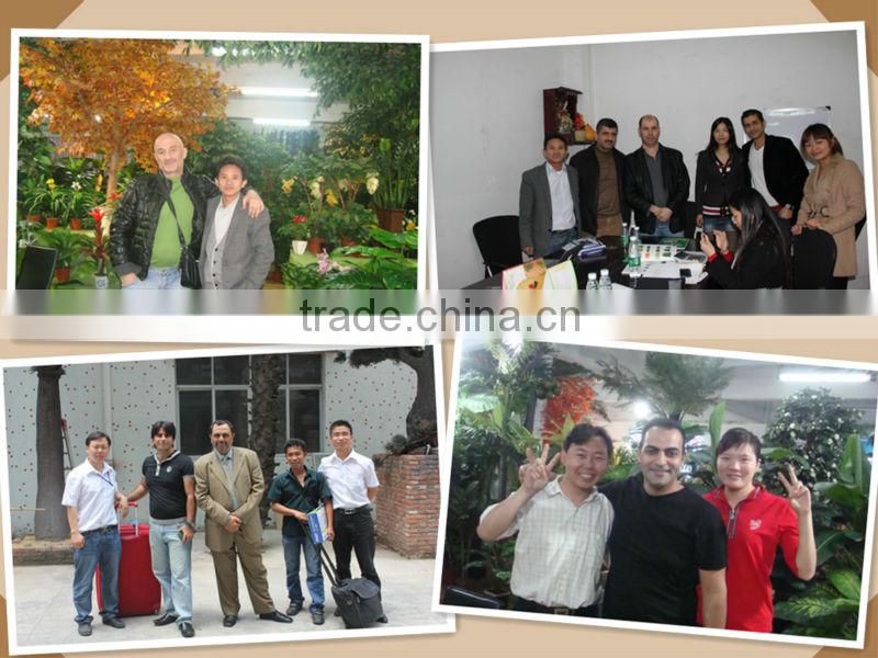 artificial Silk Bamboo/Fake bamboo group