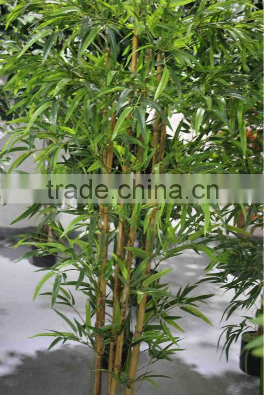 artificial Silk Bamboo/Fake bamboo group