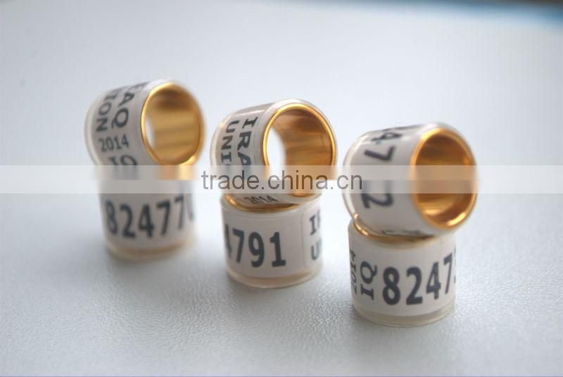 Gold Aluinium Coated Transparent Plastic 10mm Pigeon bands legs