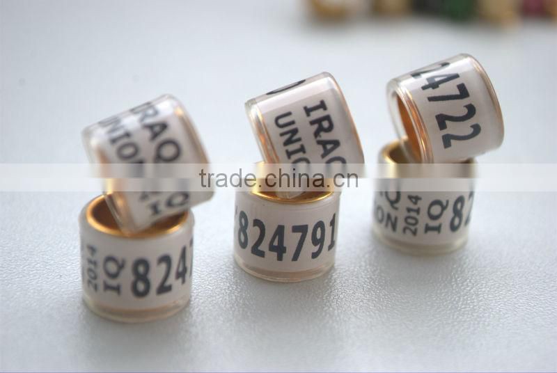Gold Aluinium Coated Transparent Plastic 10mm Pigeon bands legs