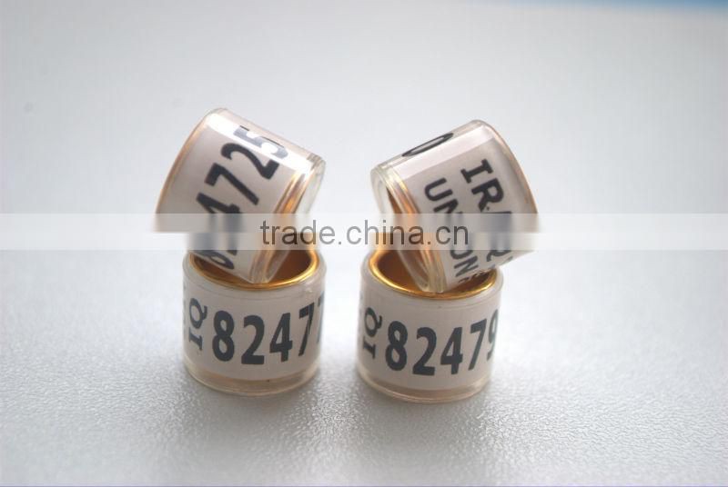 Gold Aluinium Coated Transparent Plastic 10mm Pigeon bands legs