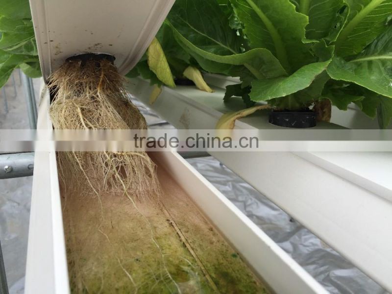 NFT Channel 118mmx50mm with removable lid food grade