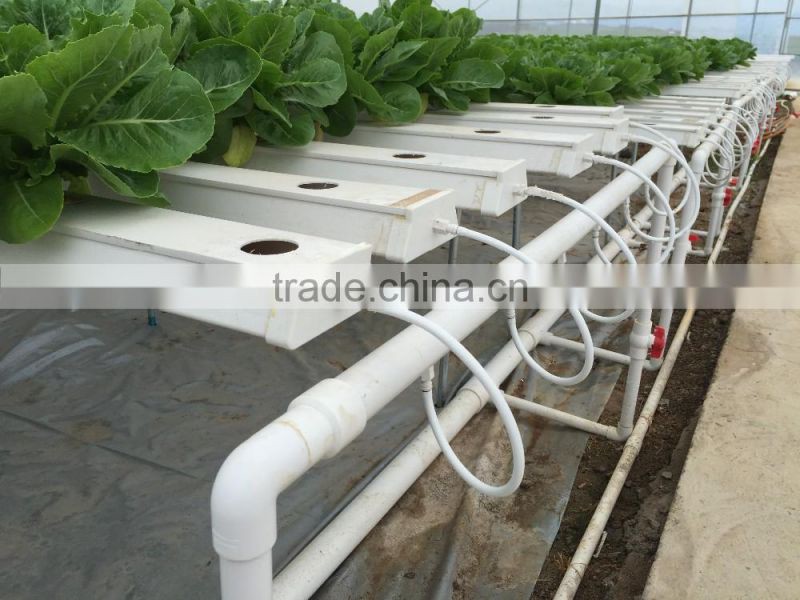 NFT Channel 118mmx50mm with removable lid food grade