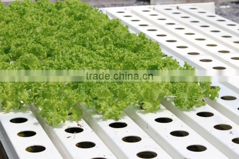 PVC Hydroponic Channels100mmx50mm for lettuce