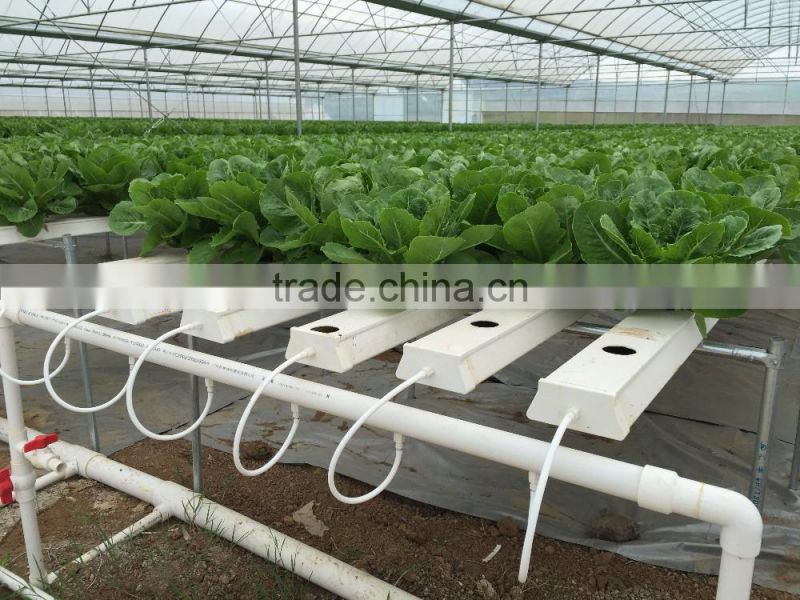 NFT Channel 118mmx50mm with removable lid food grade