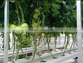 NFT Channels with removable lid 118mmx50mm