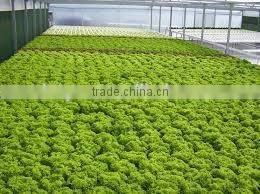 PVC Hydroponic pipe for agriculture 75mmx50mm
