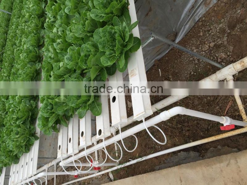 NFT Channel 118mmx50mm with removable lid food grade