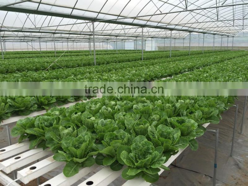 NFT Channel 118mmx50mm with removable lid food grade