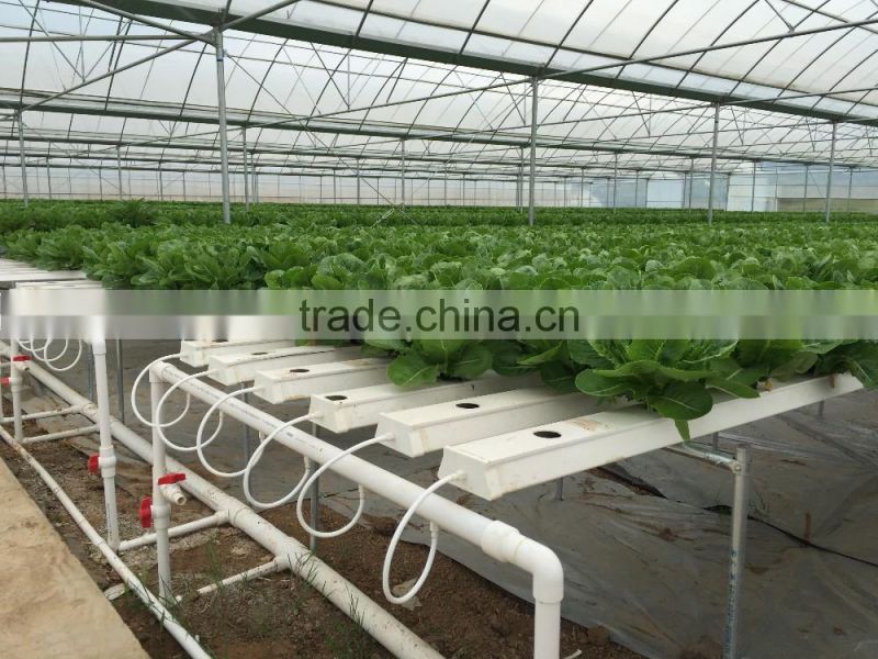 NFT Channel 118mmx50mm with removable lid food grade