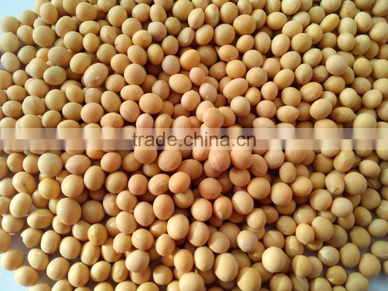 NEW crop organic soybean