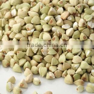 buckwheat