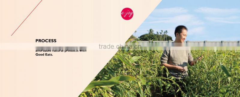 Gold chinese wholesale distributors