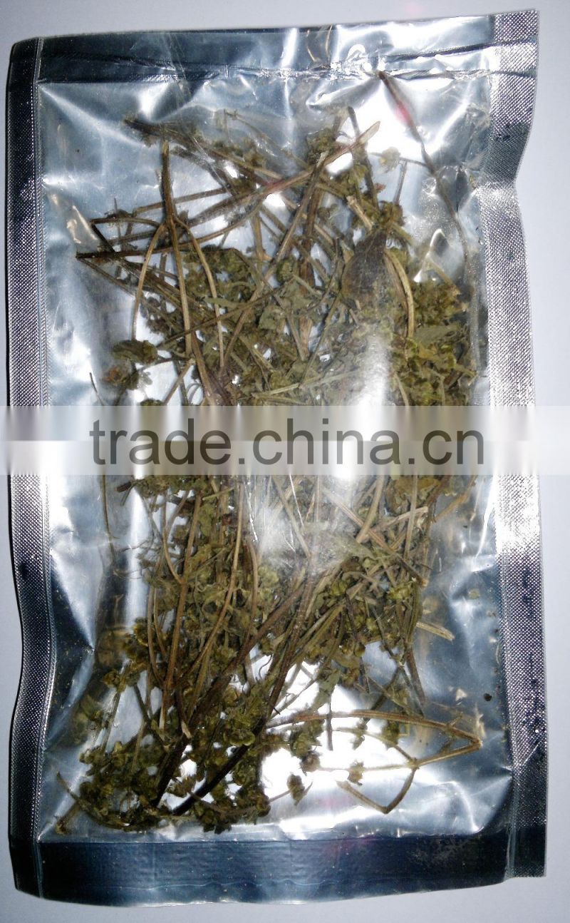 Organic Ocimum tenuiflorum